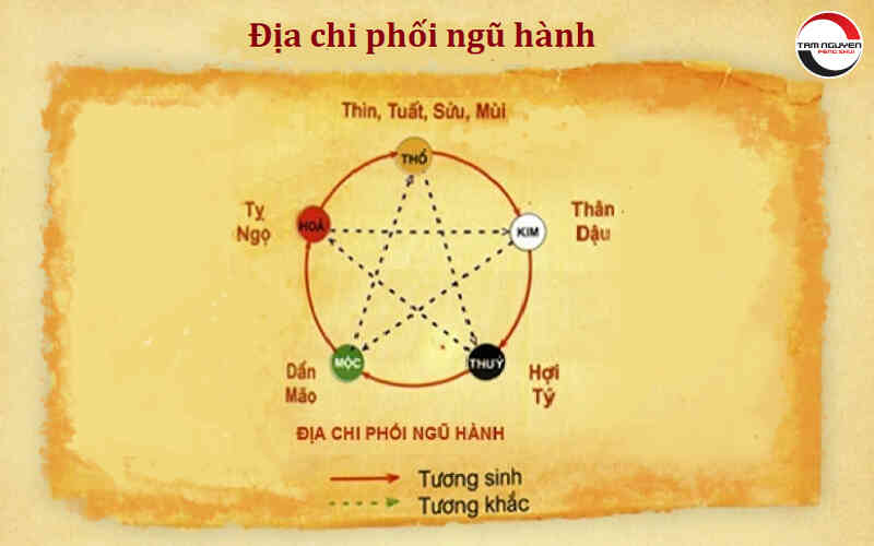 Địa chi là gì