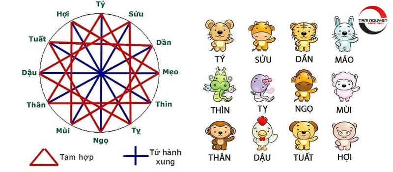 12 địa chi là gì