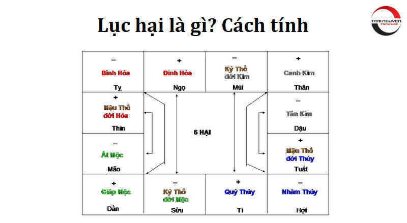 Địa chi là gì
