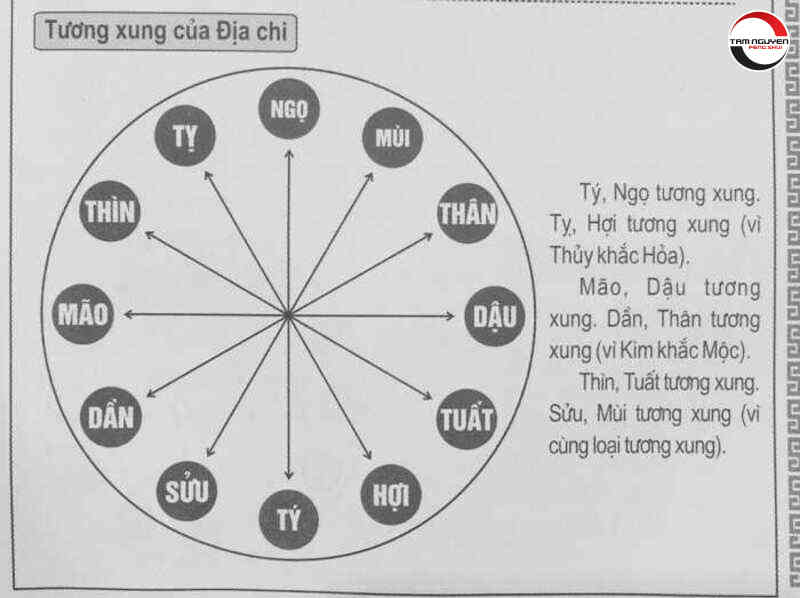 Địa chi là gì