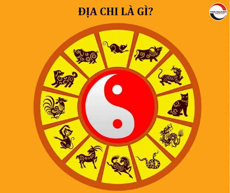 Địa chi là gì