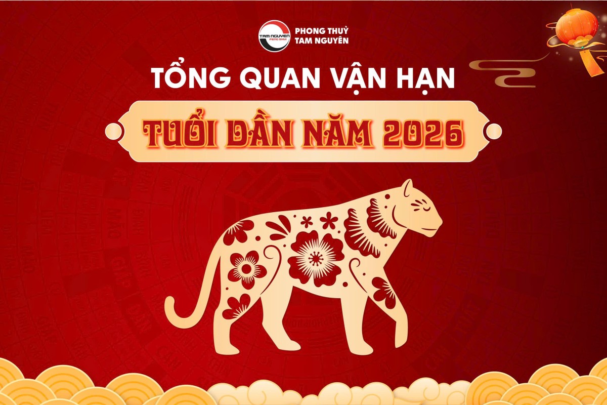 VẬN TRÌNH TUỔI DẦN NĂM 2026