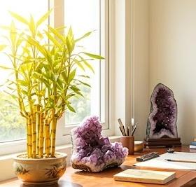 Bảng phong thủy hỗ trợ thi cử: cây Kim Ngân, đá thạch anh, bức tranh Hợp Phong