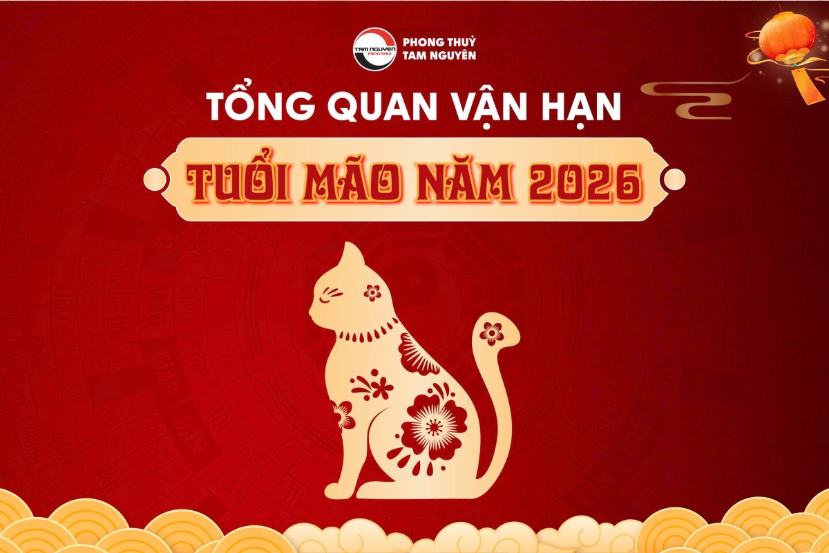 TUỔI MÃO NĂM 2026 CÓ XẤU KHÔNG?